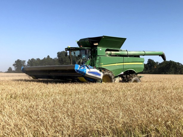 combine with stripper header in field