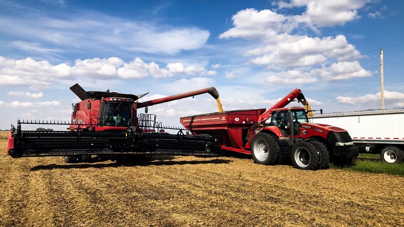 Combine unloading soybeans into grain cart