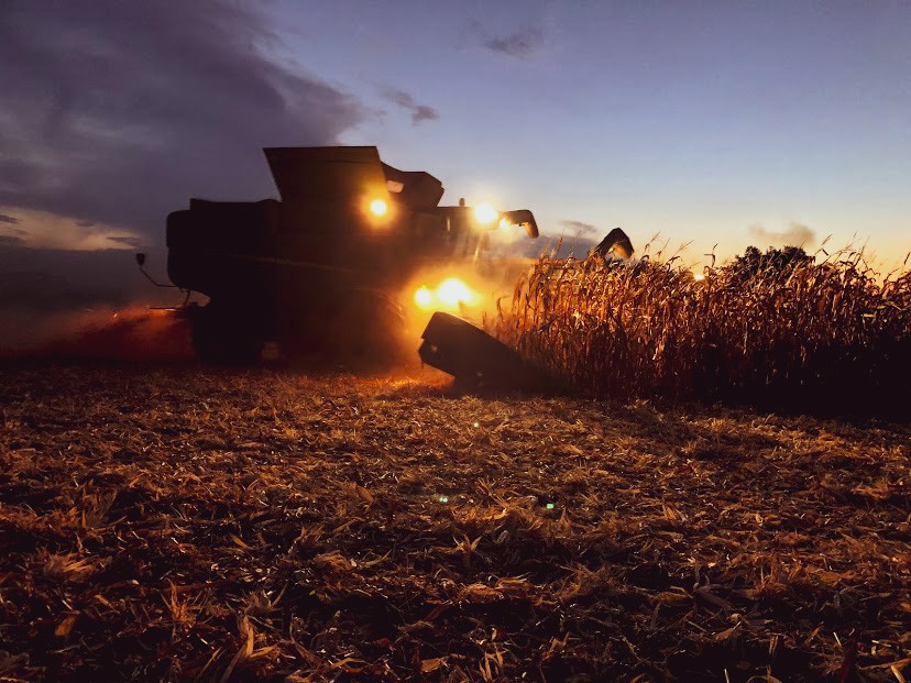 Combine harvesting corn at night