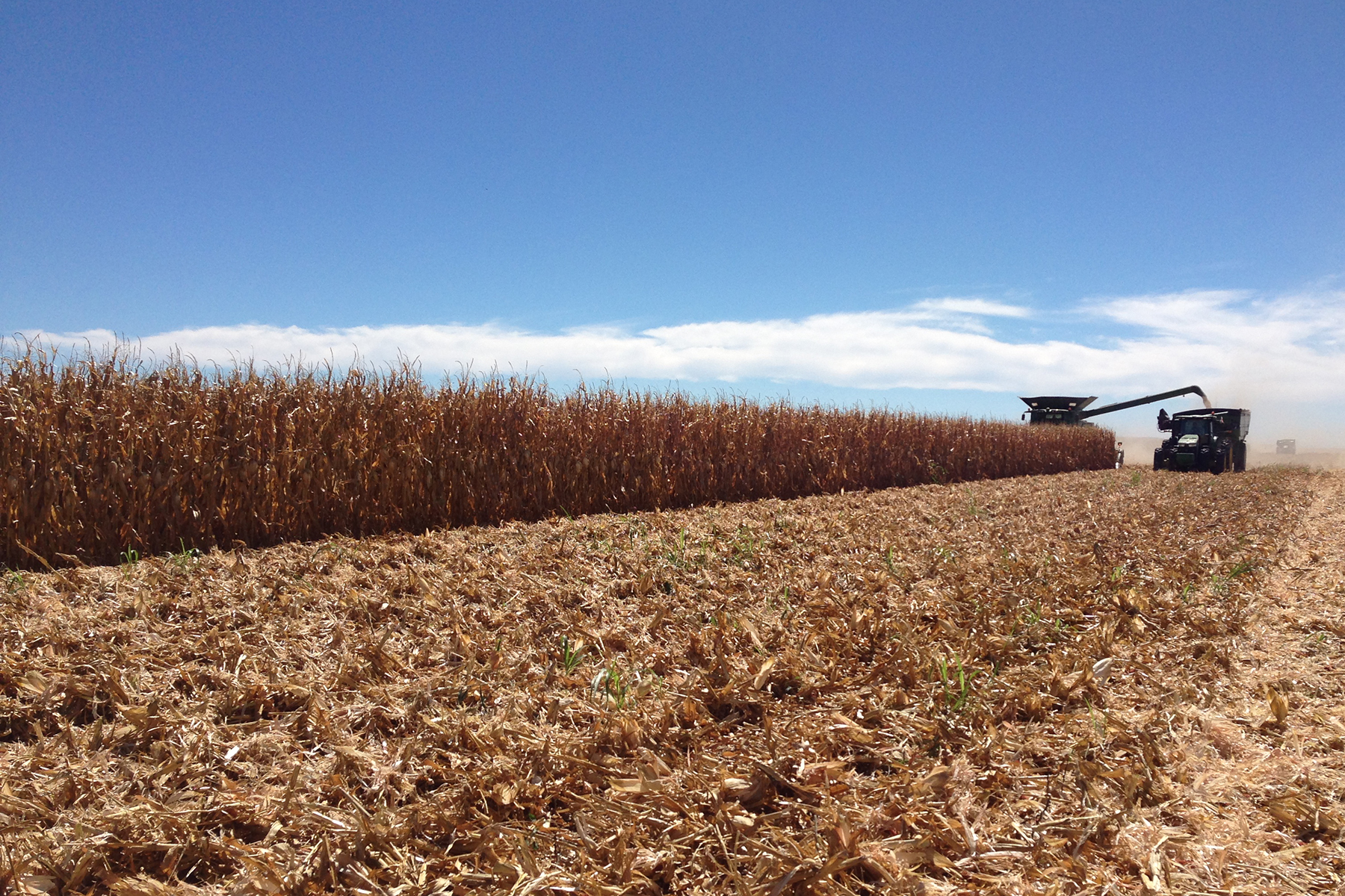 Field being harvested